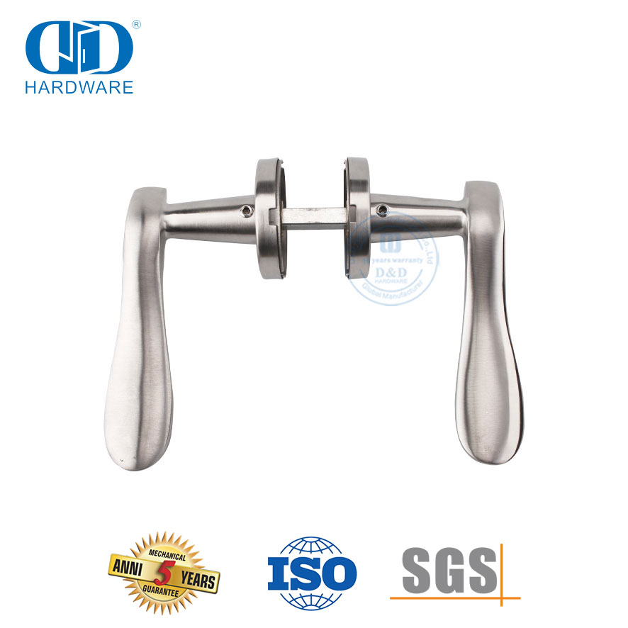 Poignée de porte moulée de précision à levier en acier inoxydable massif-DDSH014-SSS