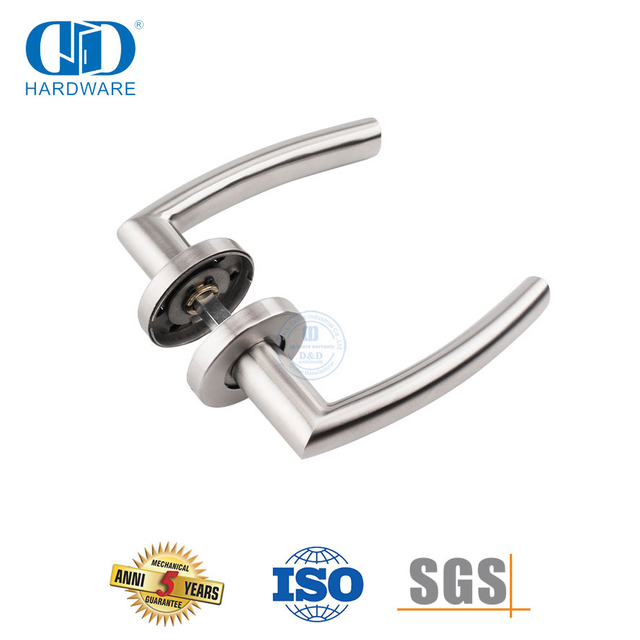 Poignée de porte de luxe en acier inoxydable sur rosace pour porte d'entrée-DDTH025-SSS
