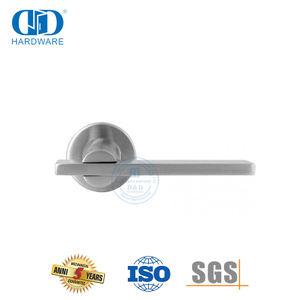 Quincaillerie de porte principale au design simple et élégant, poignée à levier tubulaire plat-DDTH041-SSS