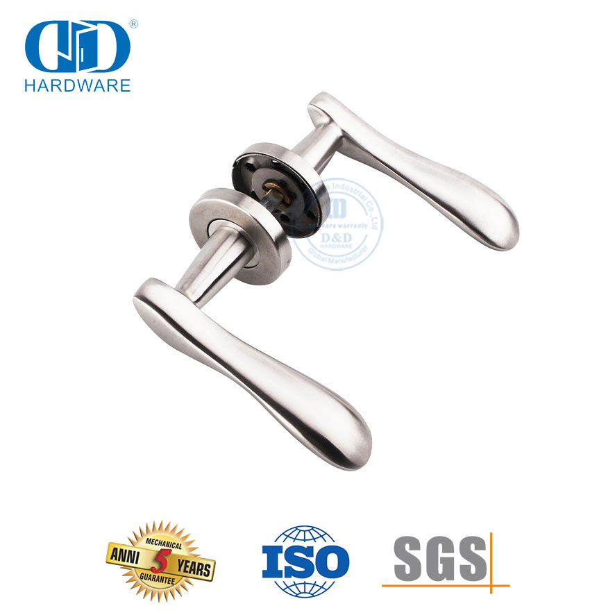 Poignée de porte moulée de précision à levier en acier inoxydable massif-DDSH014-SSS