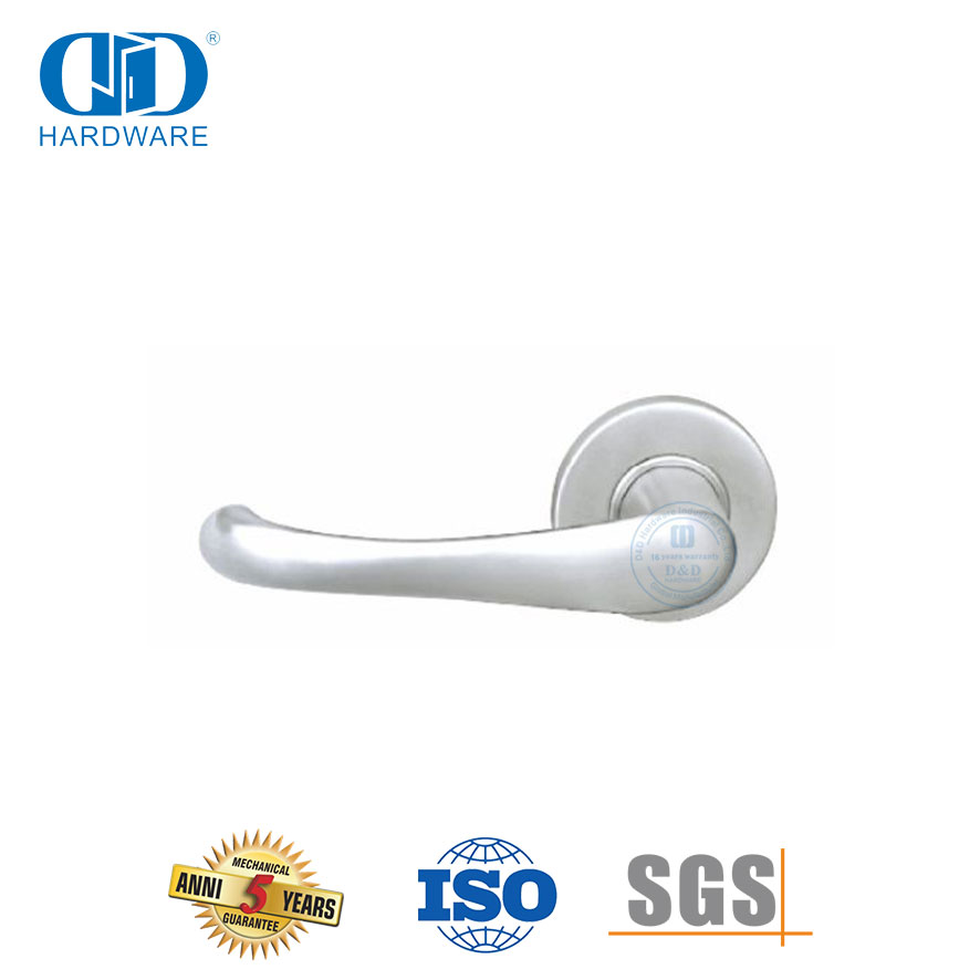 Quincaillerie de porte externe d'entrée d'hôtel, poignée à levier solide en acier inoxydable-DDSH005-SSS