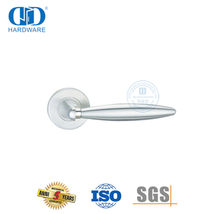 Poignée à levier solide de style unique de quincaillerie de construction commerciale en acier inoxydable-DDSH033-SSS