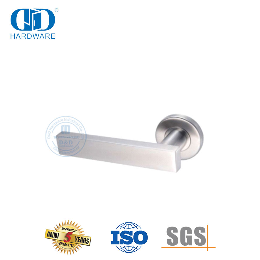 Types de poignée de porte en acier inoxydable à rosace ronde pour maison-DDTH039-SSS