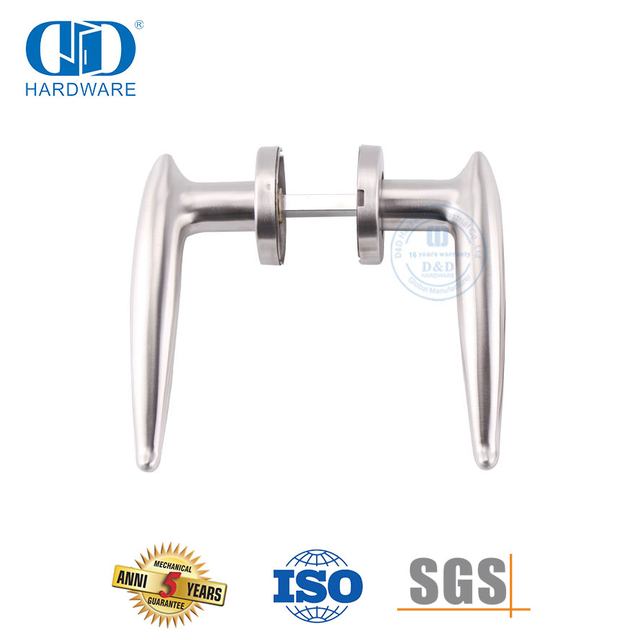 Poignée à levier solide en acier inoxydable au design épuré pour porte en aluminium-DDSH035-SSS