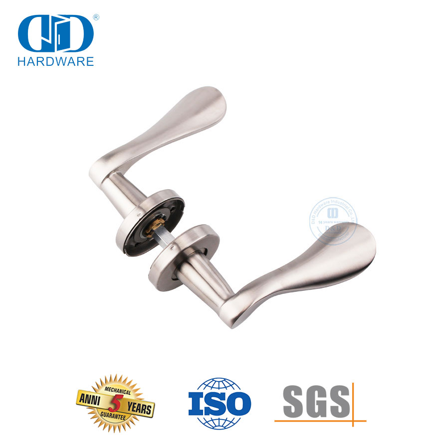 Poignée à levier solide en acier inoxydable pour porte d'entrée européenne-DDSH012-SSS
