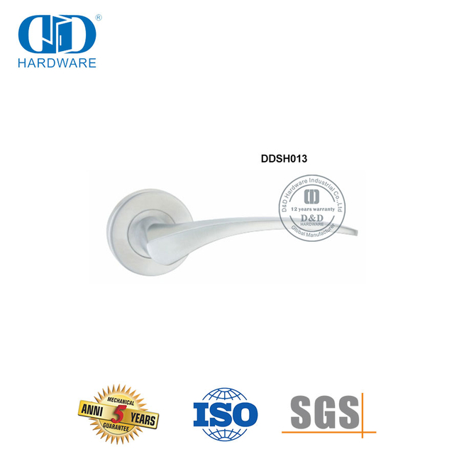 Poignée de porte à levier tubulaire en acier inoxydable moulé de précision-DDSH013-SSS