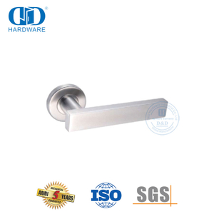 Types de poignée de porte en acier inoxydable à rosace ronde pour maison-DDTH039-SSS