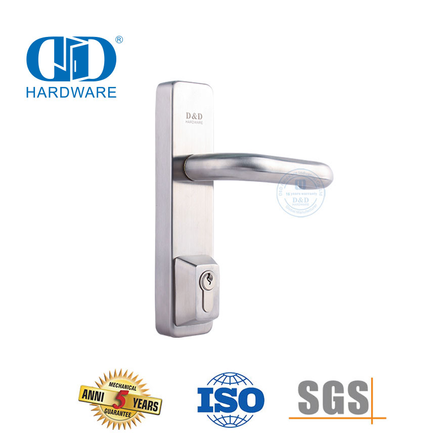 Garniture de levier d'écusson de serrure de porte à poignée affleurante en acier inoxydable-DDPD015-SSS