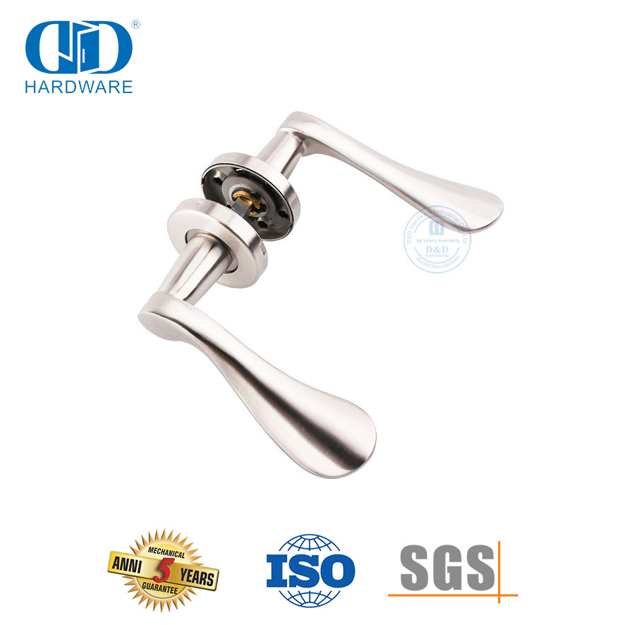 Poignée à levier solide en acier inoxydable pour porte d'entrée européenne-DDSH012-SSS