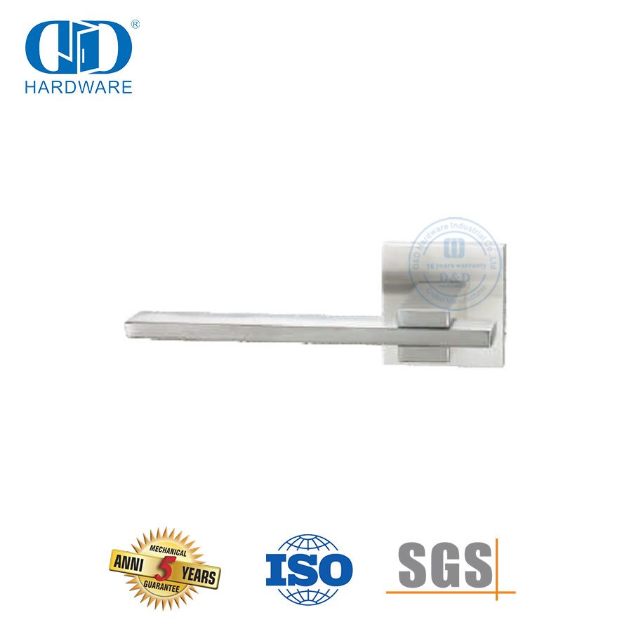 Poignée à levier solide pour porte intérieure et extérieure, quincaillerie en acier inoxydable-DDSH060-SSS