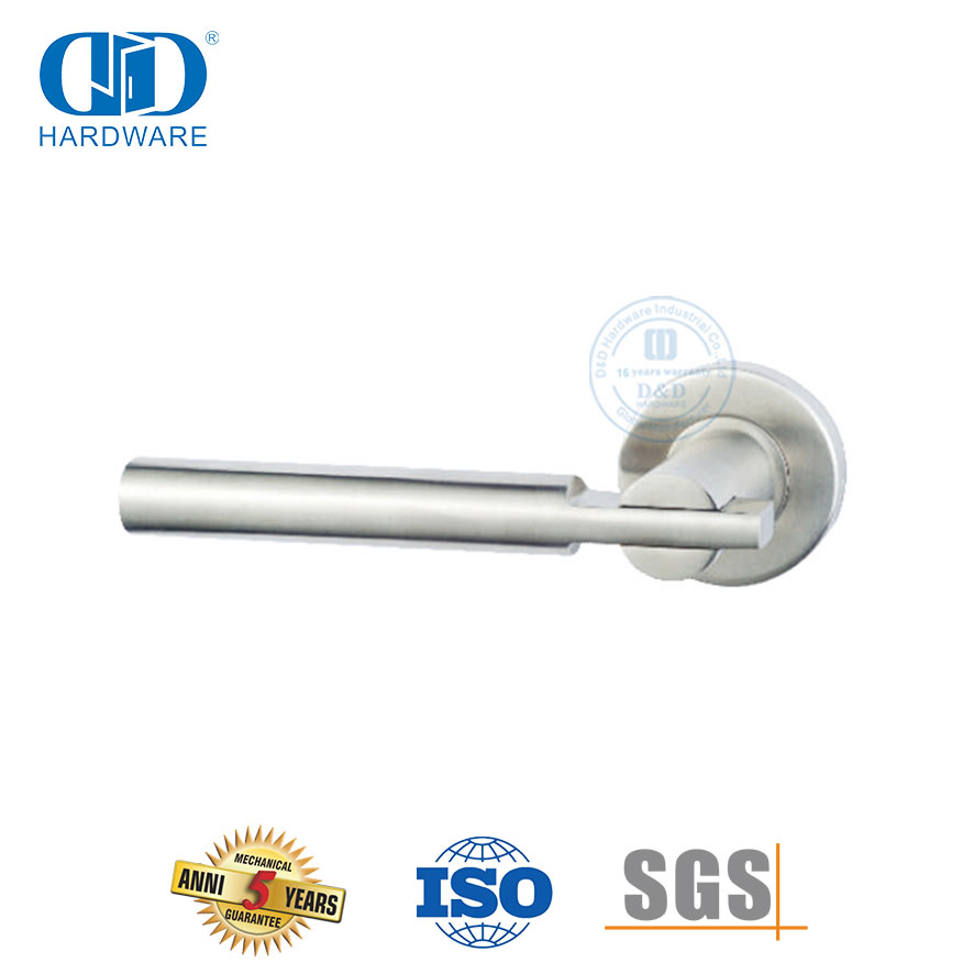 Poignée à levier solide pour porte d'entrée à rosace ronde extérieure de haute sécurité-DDSH046-SSS