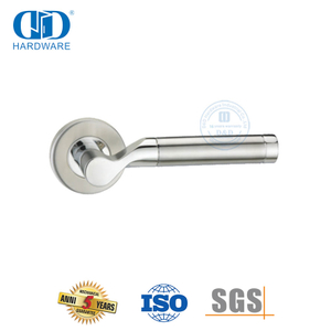 Poignée à levier solide de luxe en acier inoxydable 304 pour porte de douche en verre-DDSH047-SSS