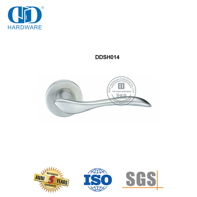 Poignée de porte moulée de précision à levier en acier inoxydable massif-DDSH014-SSS