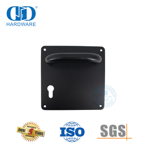 Poignée de levier de porte en acier inoxydable finition argentée avec plaque pour porte en métal-DDTP001-MB