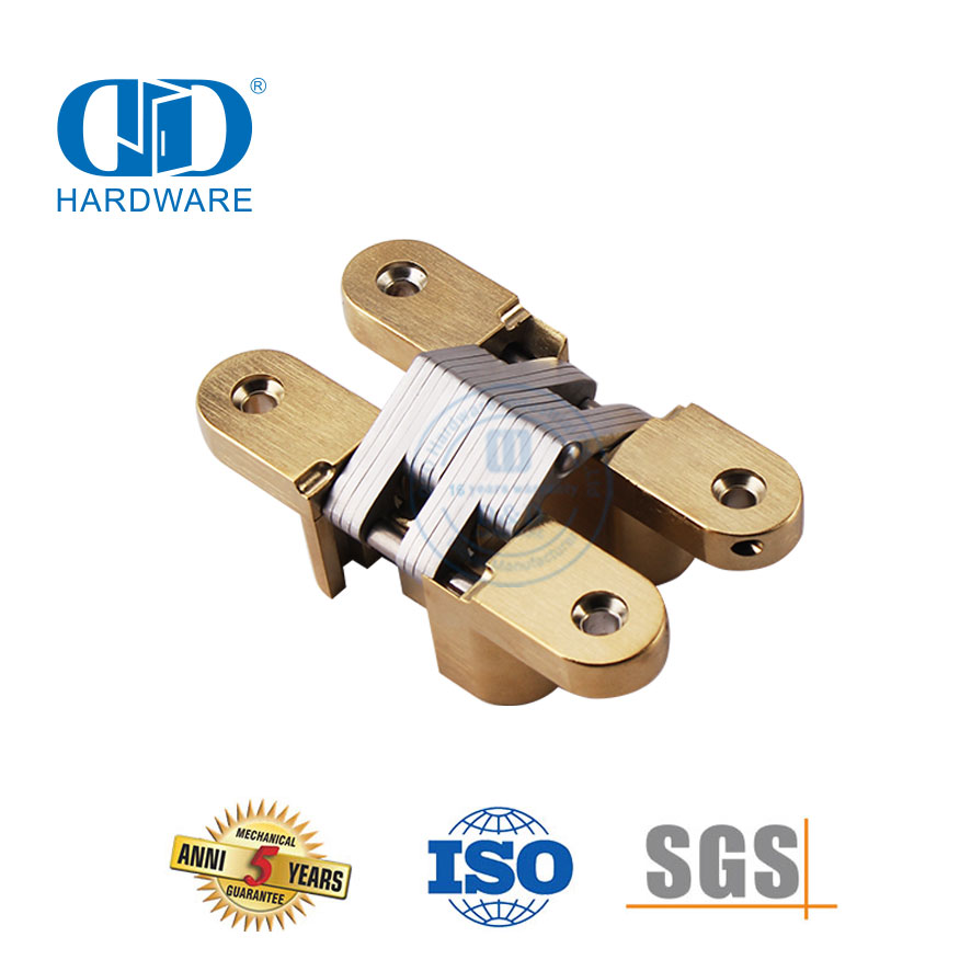 Charnière de porte à bout à fermeture douce dissimulée en alliage de zinc en laiton satiné pour porte en métal-DDCH007