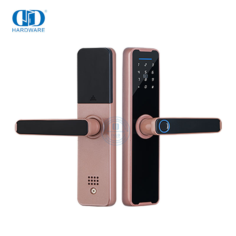 Porte antivol de porte numérique avec serrure électrique intelligente sans clé à empreinte digitale intelligente-DDDL005