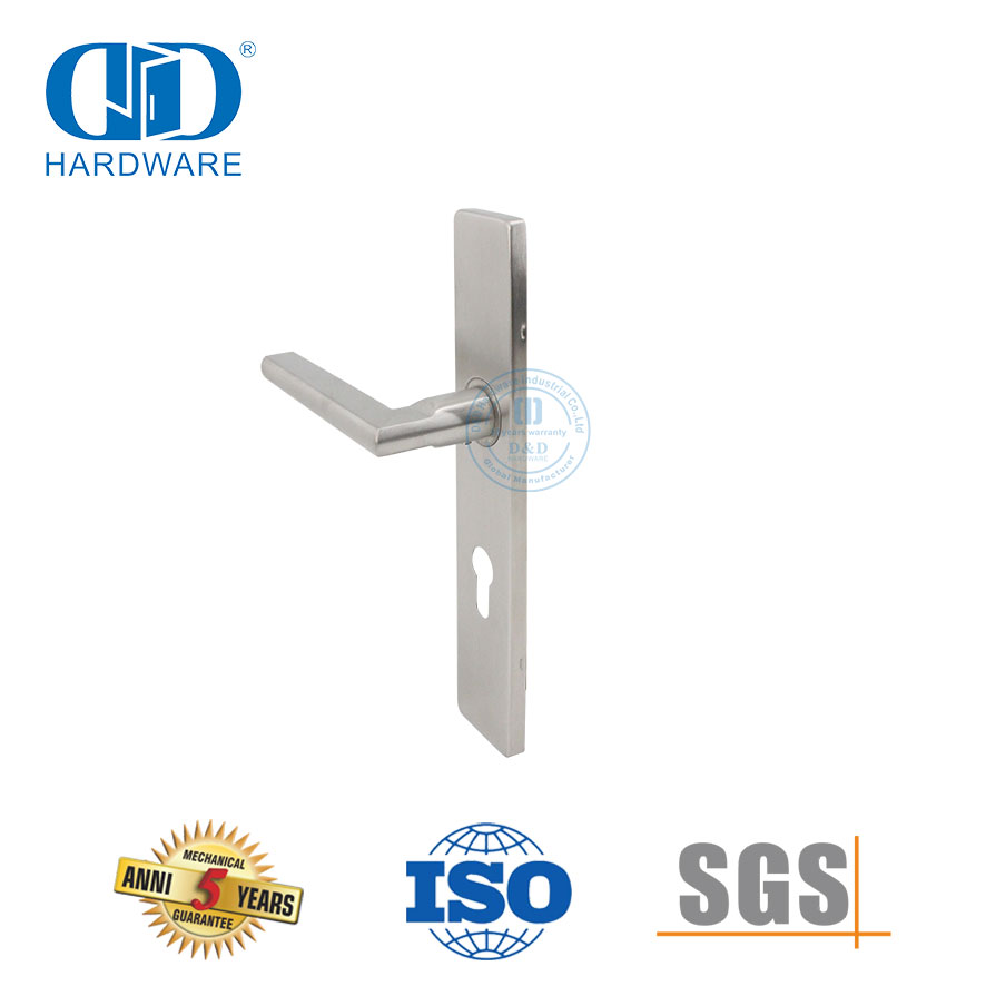 Poignée de porte de luxe légère, serrure de panneau, porte d'entrée de maison Handle-DDTP007