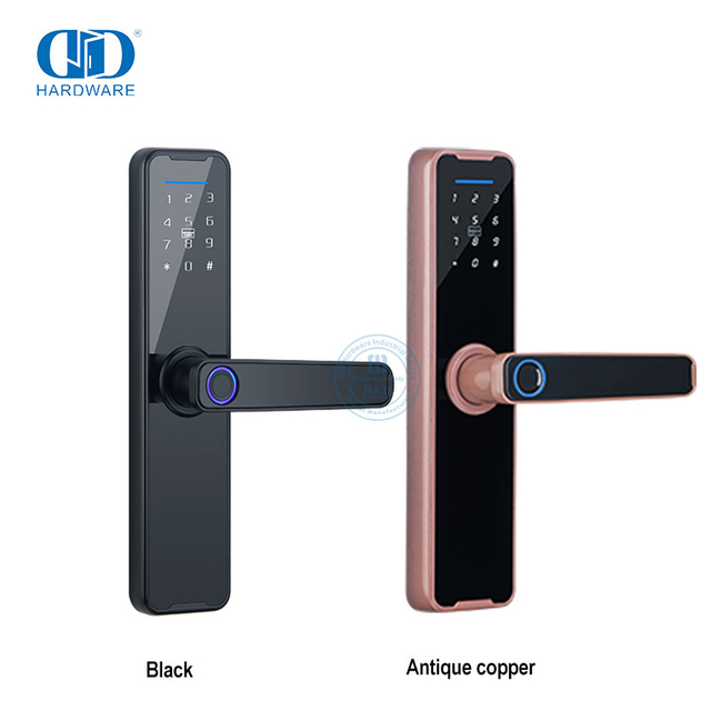 Porte antivol de porte numérique avec serrure électrique intelligente sans clé à empreinte digitale intelligente-DDDL005