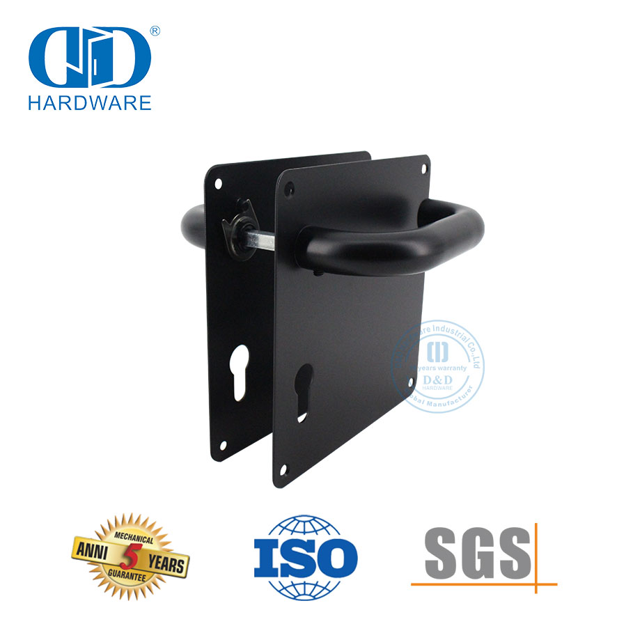 Poignée de levier de porte en acier inoxydable finition argentée avec plaque pour porte en métal-DDTP001-MB
