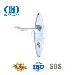 Levier de poignées solides de porte extérieure moderne de haute qualité classique SUS304 avec plaque arrière-DDLP002