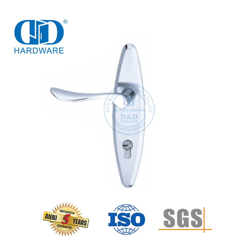 Levier de poignées solides de porte extérieure moderne de haute qualité classique SUS304 avec plaque arrière-DDLP002