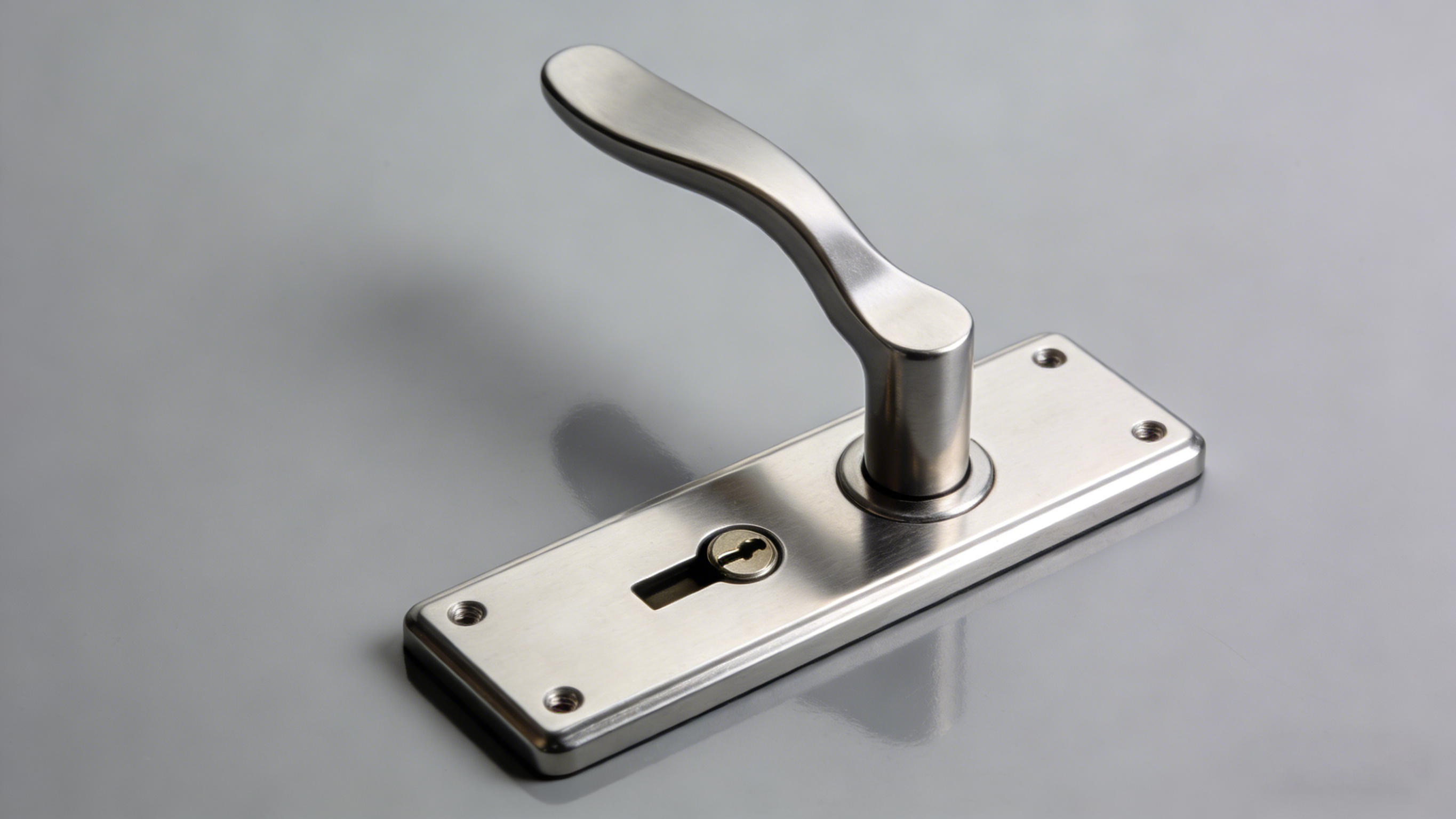 Serrure de porte pour b&acirc;timent commercial