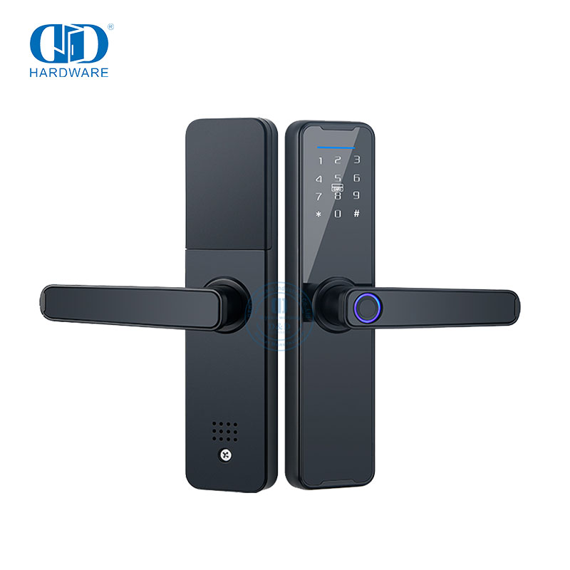 Porte antivol de porte numérique avec serrure électrique intelligente sans clé à empreinte digitale intelligente-DDDL005
