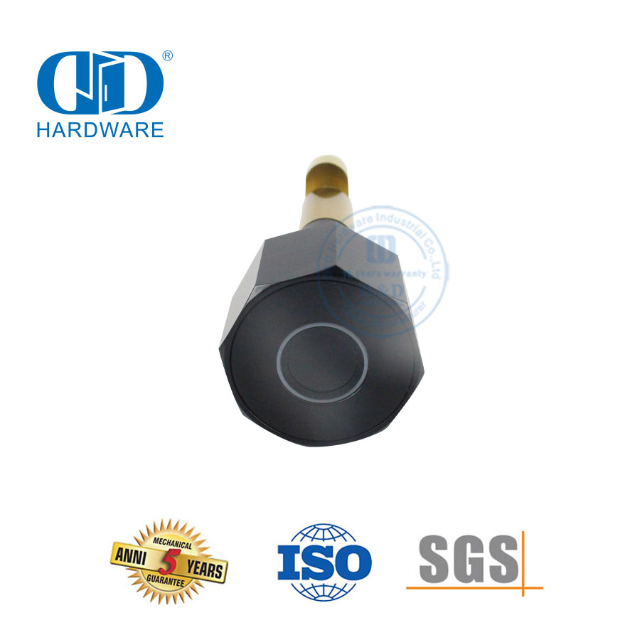Cadenas de porte intérieur et extérieur en acier inoxydable et laiton, fonction Bluetooth numérique, sécurité par empreinte digitale, chargement USB, DDPL101-70 mm