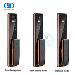 Capture à distance Wifi de luxe avec clé de caméra, empreinte digitale, porte intelligente Lock-DDEL011