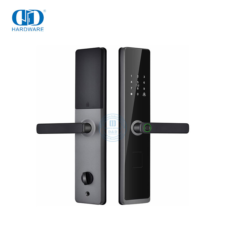 Serrure de poignée de porte électronique sans clé, Code de mot de passe intelligent, biométrique numérique, empreintes digitales, avec clé-DDDL008