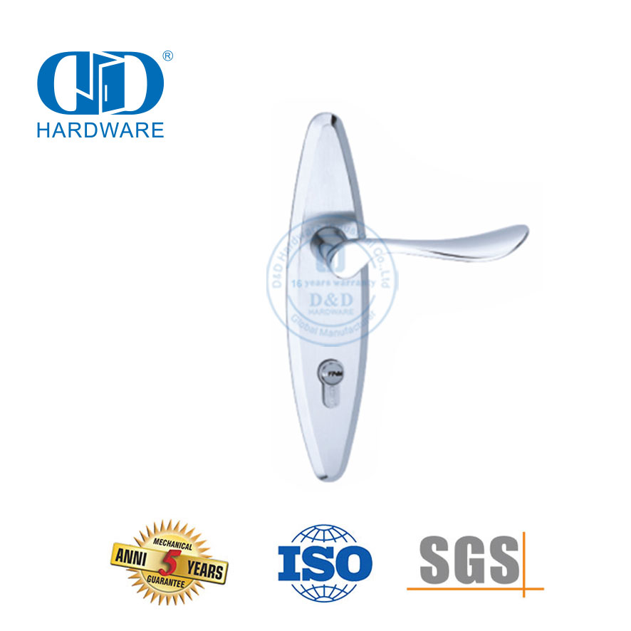 Levier de poignées solides de porte extérieure moderne de haute qualité classique SUS304 avec plaque arrière-DDLP002