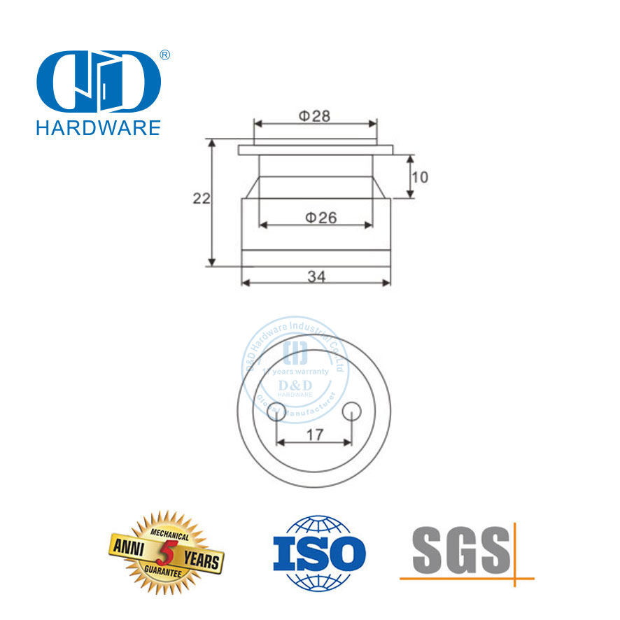 Système de pivot de porte en verre en acier inoxydable, point de verre, raccord fixe, raccord Pivot-DDGP021