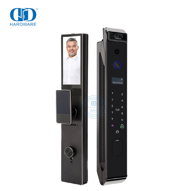 Reconnaissance faciale déverrouillée, télécommande, code d'accès numérique, sonnette de porte en métal, serrure intelligente-DDEL028