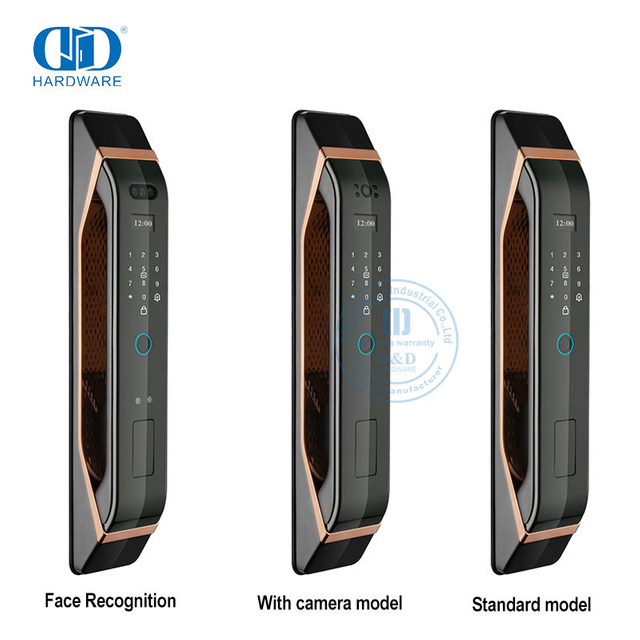 Interphone vidéo de reconnaissance de visage d'empreinte digitale double face à télécommande contemporaine Smart Lock-DDEL012
