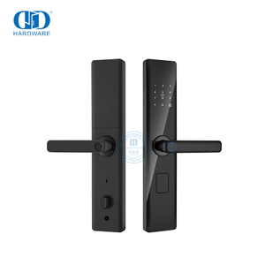 Serrure électronique de maison intelligente d'empreinte digitale de poignée de porte d'entrée avec Screen-DDDL001