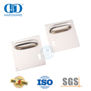 Poignées de levier en acier inoxydable de porte d'entrée de bâtiment d'incendie d'hôtel d'approvisionnement d'usine-DDTP001-SSS