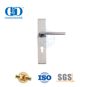 Poignée de porte de luxe légère, serrure de panneau, porte d'entrée de maison Handle-DDTP007