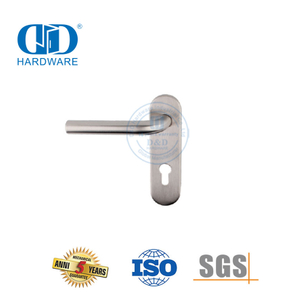 Poignée de levier intérieure en acier inoxydable de haute qualité avec plaque pour portes métalliques-DDTP008